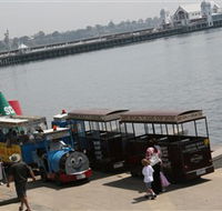 Waterfront Train Tours and Bungy Trampoline - New South Wales Tourism 