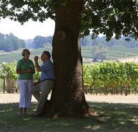 Five Oaks Vineyard - New South Wales Tourism 