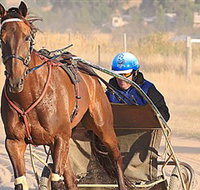 Ballarat  District Trotting Club - New South Wales Tourism 