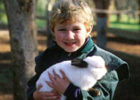 Maribyrnong Valley Parklands - New South Wales Tourism  0