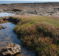Ricketts Point Marine Sanctuary