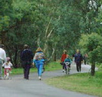 Birrarrung Park - New South Wales Tourism 