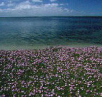 The Lakes National Park - New South Wales Tourism 