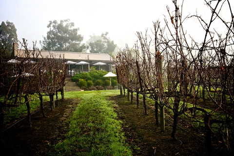 GREENSTONE VINEYARDS - New South Wales Tourism  4