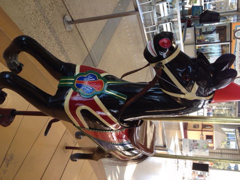 The Carousel - New South Wales Tourism  4