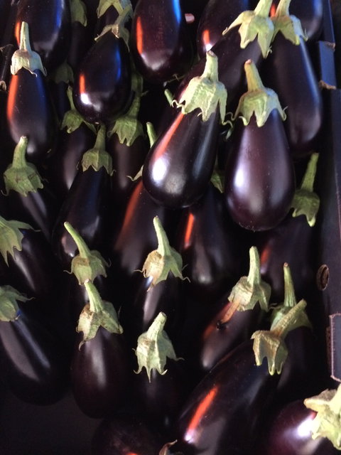 Main Street Market Mornington - New South Wales Tourism  3