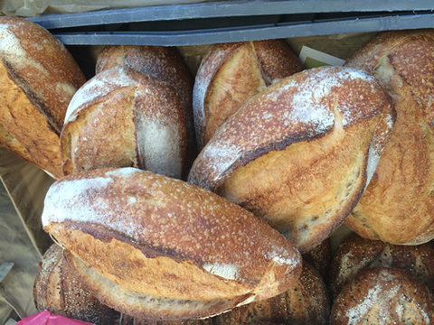 Main Street Market Mornington - New South Wales Tourism  8