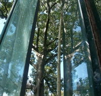 Sydney Sculpture Walk - New South Wales Tourism 
