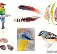 Pebbles and Pods - New South Wales Tourism 