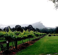 Cambewarra Estate Wines - New South Wales Tourism 
