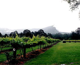 Cambewarra Estate Wines - New South Wales Tourism  0