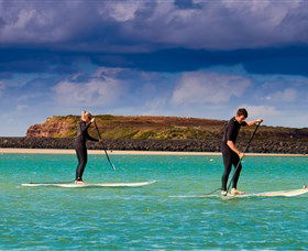 JPD Surf - Stand Up Paddle - New South Wales Tourism  0