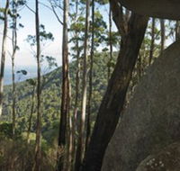 Gulaga National Park - New South Wales Tourism 