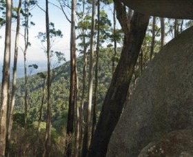 Gulaga National Park - New South Wales Tourism  0