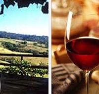 Jasper Valley Wines and Vines Cafe - New South Wales Tourism 