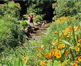 Bonaira Native Gardens - New South Wales Tourism  0