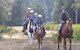 Horse Riding At Oaks Ranch And Country Club - thumb 0