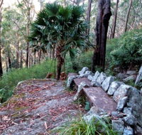 Wodi Wodi Walking Track - New South Wales Tourism 