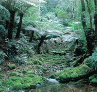Deua National Park - New South Wales Tourism 
