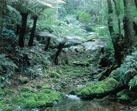 Deua National Park - New South Wales Tourism  0
