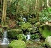 Budderoo National Park - New South Wales Tourism 