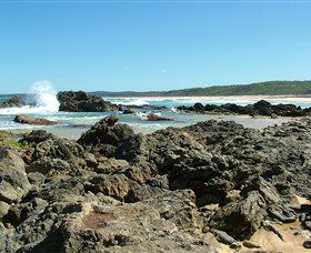 Coastal Walks - Bermagui - New South Wales Tourism  0