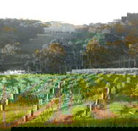 Tilba Valley Wines - New South Wales Tourism 