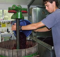 Fern Gully Winery - New South Wales Tourism 