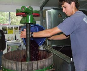 Fern Gully Winery - New South Wales Tourism  0