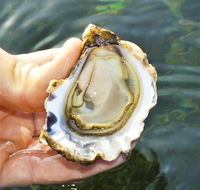 The Oyster Pot - New South Wales Tourism 