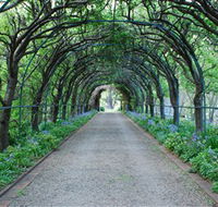 Foxglove Spire Gardens - New South Wales Tourism 