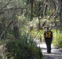 Barren Grounds Nature Reserve - New South Wales Tourism 