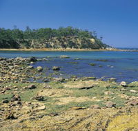 Aslings Beach - New South Wales Tourism 
