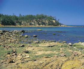 Aslings Beach - New South Wales Tourism  0