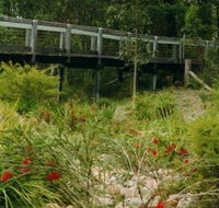 Eurobodalla Botanic Gardens - New South Wales Tourism 