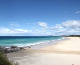 Beach Art Gallery - New South Wales Tourism  0