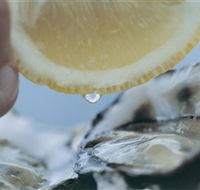 Pearly Oyster Bar and Farm - New South Wales Tourism 