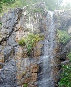 Wedding Bells Forest Drive - New South Wales Tourism  0