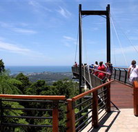 Sealy Lookout - New South Wales Tourism 