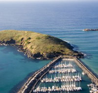 Muttonbird Island Nature Reserve - New South Wales Tourism 