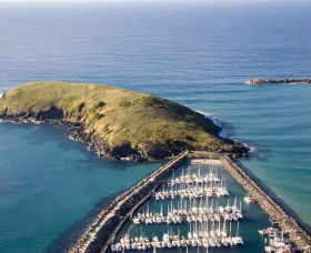 Muttonbird Island Nature Reserve - New South Wales Tourism  0