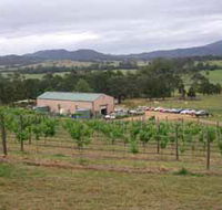 Villa d Esta Vineyard - New South Wales Tourism 