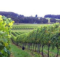 Banjo's Run Winery and Vineyard - New South Wales Tourism 