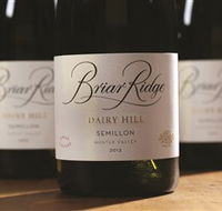 Briar Ridge Vineyard - New South Wales Tourism 