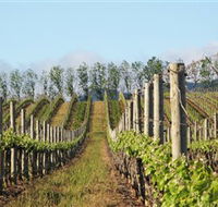 Philip Shaw Wines - New South Wales Tourism 