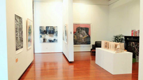 Muswellbrook Regional Arts Centre - New South Wales Tourism  2