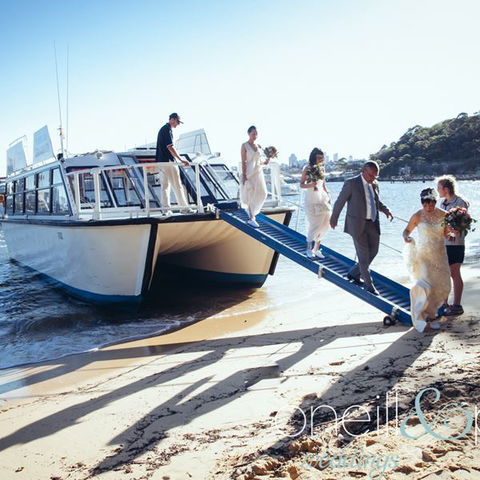 H2O Maxi Taxis - New South Wales Tourism  3