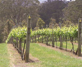 Diamond Creek Estate Cellar Door - New South Wales Tourism  2