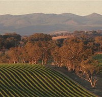 Angullong Wines - New South Wales Tourism 