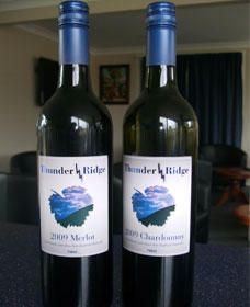 Thunder Ridge Wines - New South Wales Tourism  0